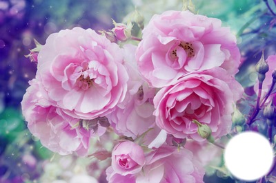 Beautiful flower #25 Fotomontaggio