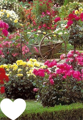 Jardin fleuri Montaje fotografico