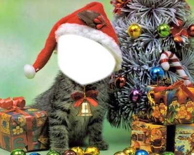 CHAT NOËL Fotomontasje