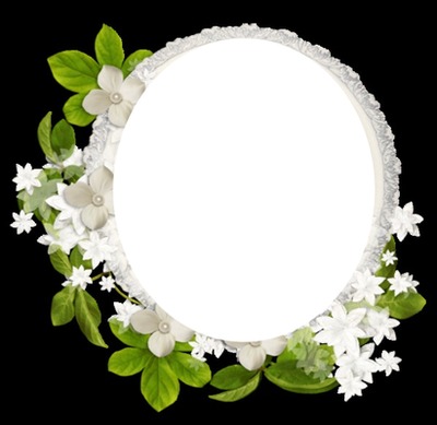 La beauté des fleurs blanches Фотомонтажа