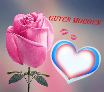 guten morgen Montage photo