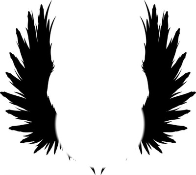 ailes anges Fotomontáž
