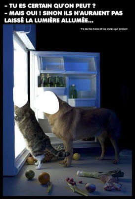 humour chien / chat Fotomontažas