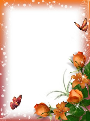 Cadre-roses-papillons Montaje fotografico