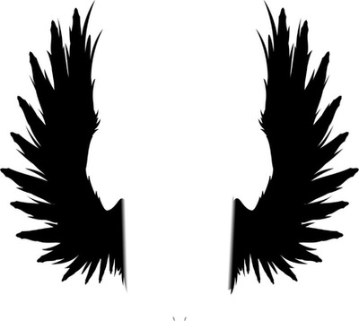 ailes noires Fotomontaggio