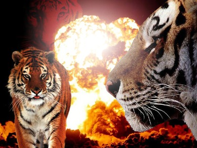 tigris Fotomontaggio