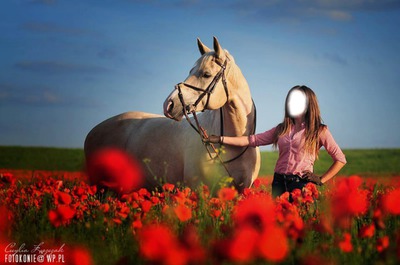 a cheval Фотомонтажа