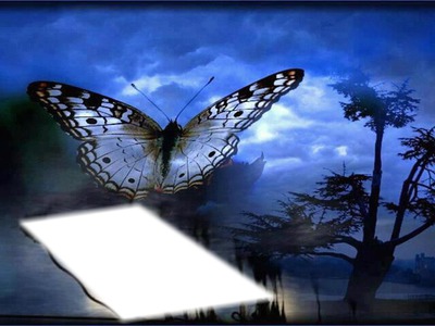 Papillon Fotoğraf editörü