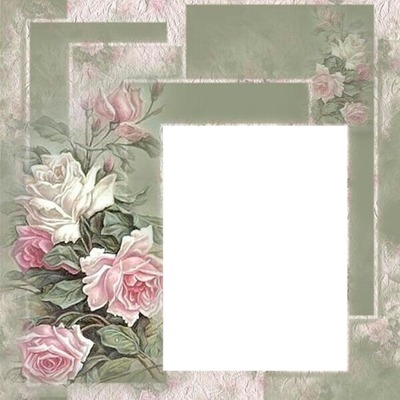 marco y rosas. Fotomontage
