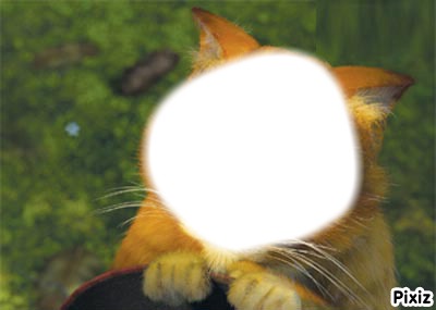 chat botté Fotomontagem