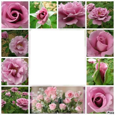 Les Roses Fotomontažas