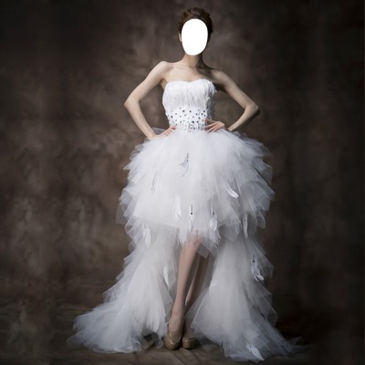 robe mariage plume Fotomontaż