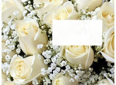 Cc Rosas Blancas Montaje fotografico