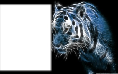 tigre bleu Photomontage