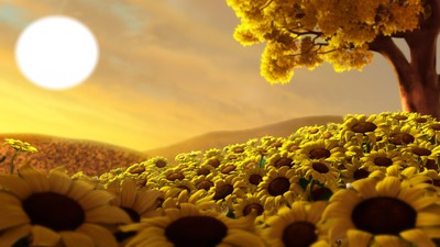 Sunflower lan Photo frame effect