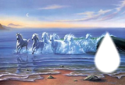 chevaux des mer Фотомонтаж