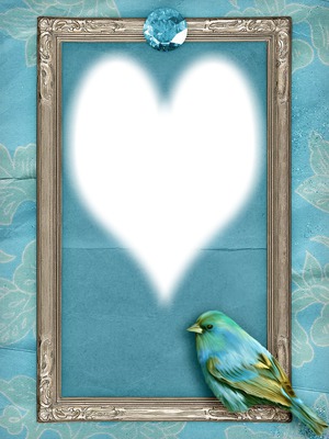 cadre bleu oiseau coeur Montage photo