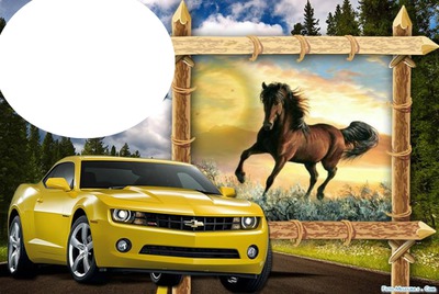 caballo y coxe Photomontage