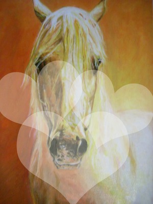 pour l amour des chevaux Fotomontáž
