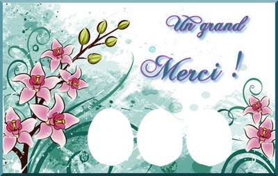 un grand merci 3 photos Montage photo