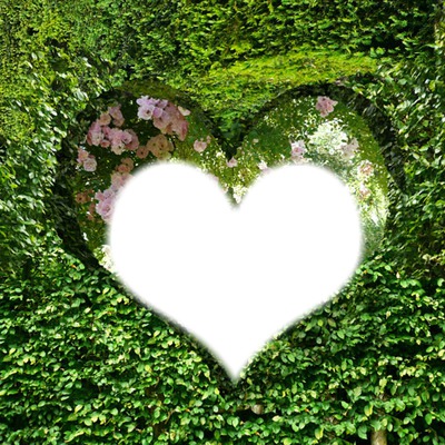 coeur au jardin Montage photo