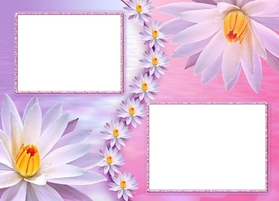 marco para 2 fotos, fondo flores. Montaje fotografico