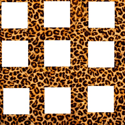 8 photo léopard Photo frame effect