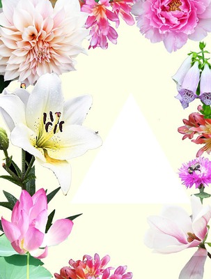 Summer Flower Fotomontage