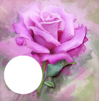 pink rose frame fran Fotomontage