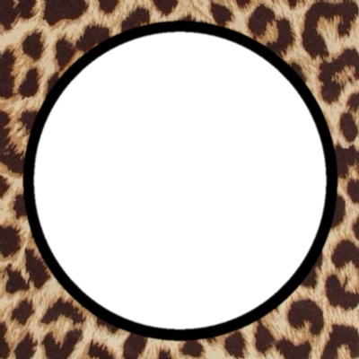 marco leopardo, 1 foto Montaje fotografico