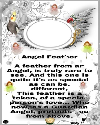 angel feather Photo frame effect