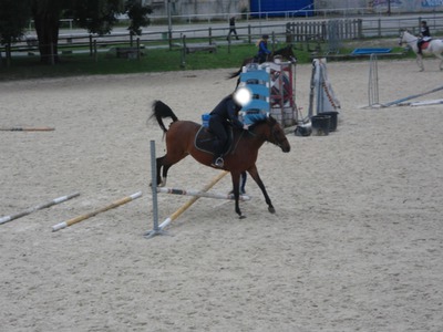 love horse Fotomontaż