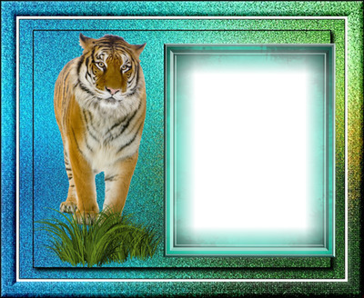 Cadre tigre Fotomontaža