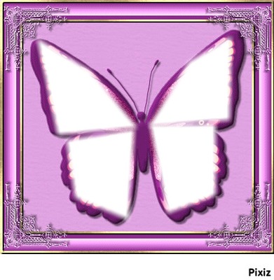 Papillon violet Photo frame effect