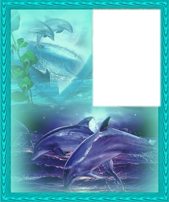 "fantasie dolfijn" Fotomontage