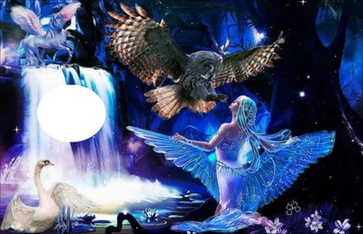 owl with angel Montage photo