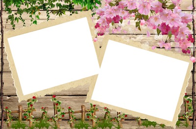 Cadres fleurs Photomontage