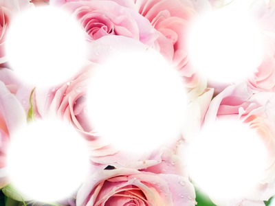 beautiful roses Fotomontage
