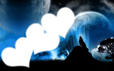 L'amour du loup!!! Photomontage