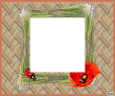 coquelicot Photo frame effect
