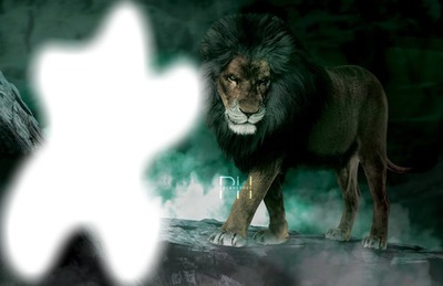 le roi lion film sortie 2019 160 Photo frame effect
