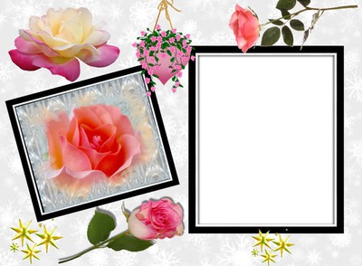 Cadres de roses rose* Photo frame effect
