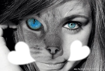 moitier chat et femme 2 Fotomontagem