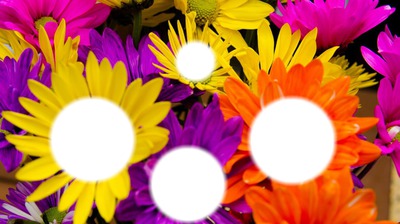 fleurs multicolores フォトモンタージュ