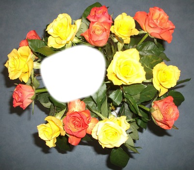 bouquet de roses Фотомонтаж