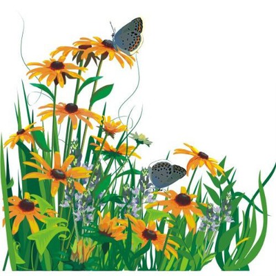 Sunflowers and Butterflys Photo frame effect