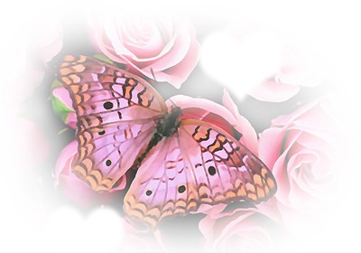 papillon Fotomontaggio