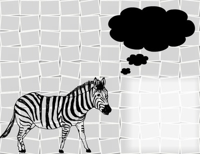 zebra Fotomontage