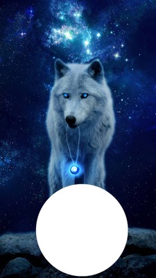 Loup blanc Photomontage