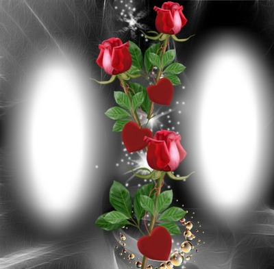 Roses rouge Fotomontaggio